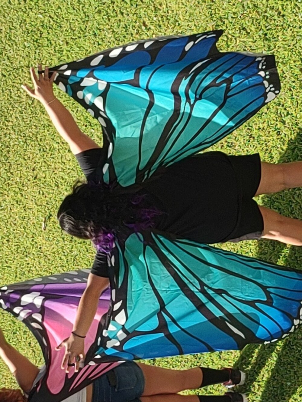 Pair Of Butterfly Wing Capes: Pink/Purple & Teal/Blue
